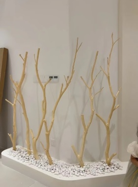 干树枝干支干花艺术枯枝枯木树天然去皮本色树枝壁挂衣架龙骨杆枝