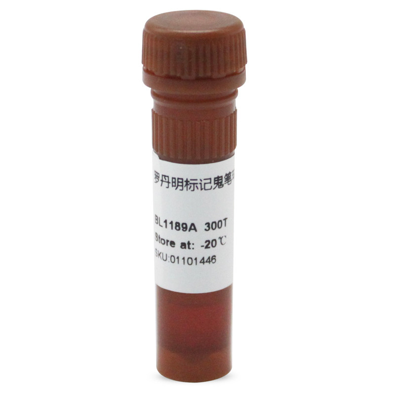 白鲨 Biosharp BL1189A TRITC Phalloidin罗丹明标记鬼笔环肽_虎窝淘