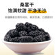 新鲜桑葚干免无沙洗桑甚干桑椹子黑桑葚干500g包邮