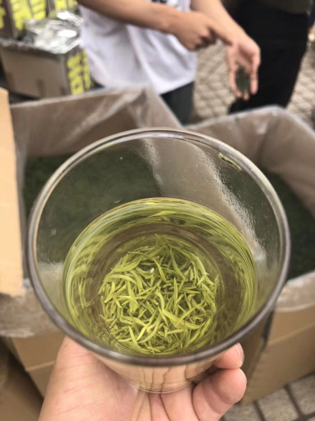 单芽毛尖芽茶250g谷雨前茶叶欢诺名优茶散装