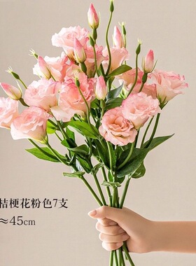 桔梗花仿真花摆设客厅花艺花束餐桌高级感高档仿生花假花摆件插花