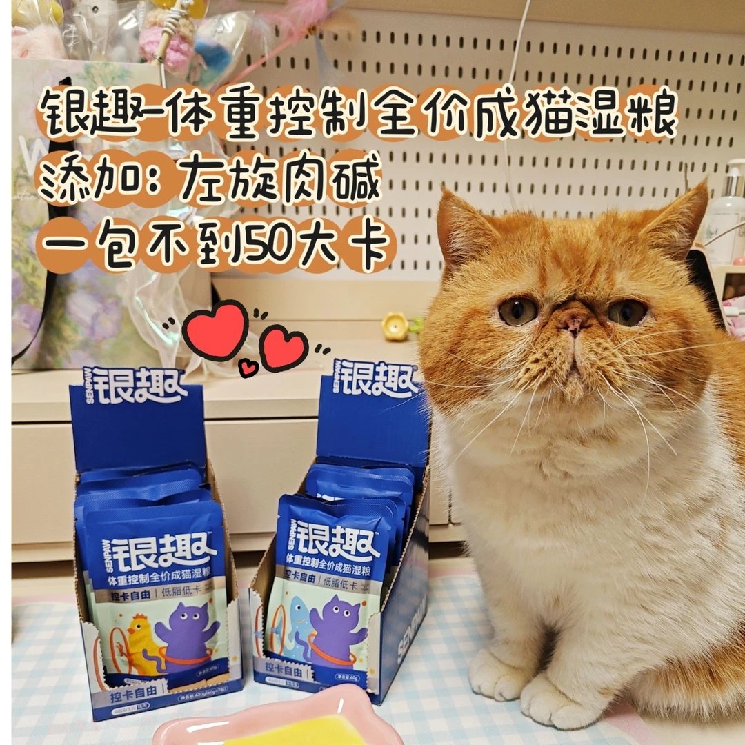 银趣湿粮包软罐头体重控制全价成猫湿粮主食猫咪罐头低脂低卡胰腺,淘宝优惠券,粉丝福利购,淘宝优惠卷