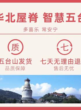 含辰砂工艺品本命年生肖朱s十八籽手串情侣礼物男款送女友闺蜜