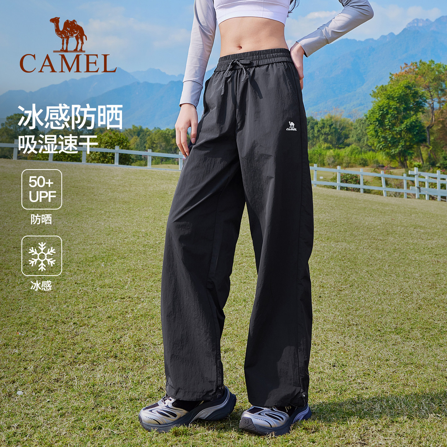 图 3