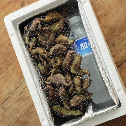 洪湖王文娟新鲜菱角4斤水栗子粉菱角棱角菱果凌果2000g京东 - 图3