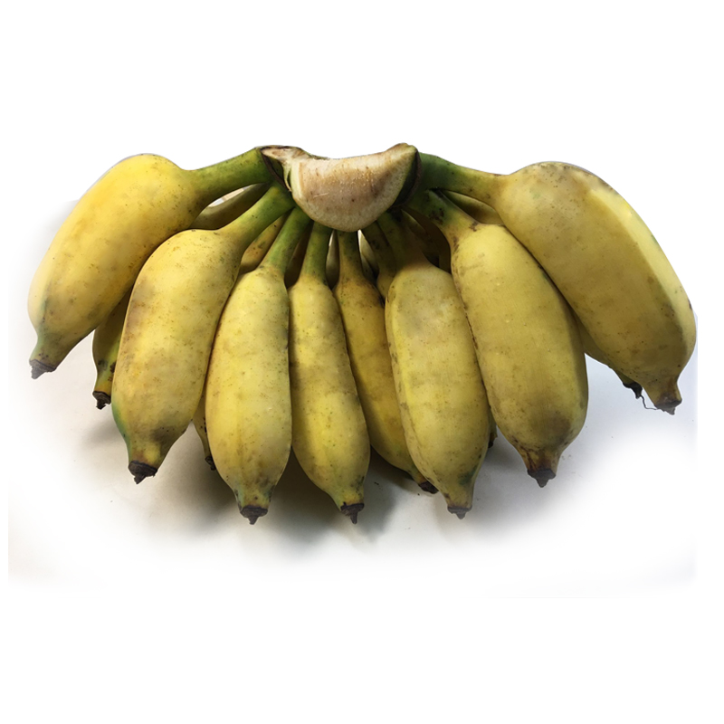 包邮广东高州香蕉水果新鲜banana无催熟剂非米蕉粉蕉海南芭蕉5斤-图1