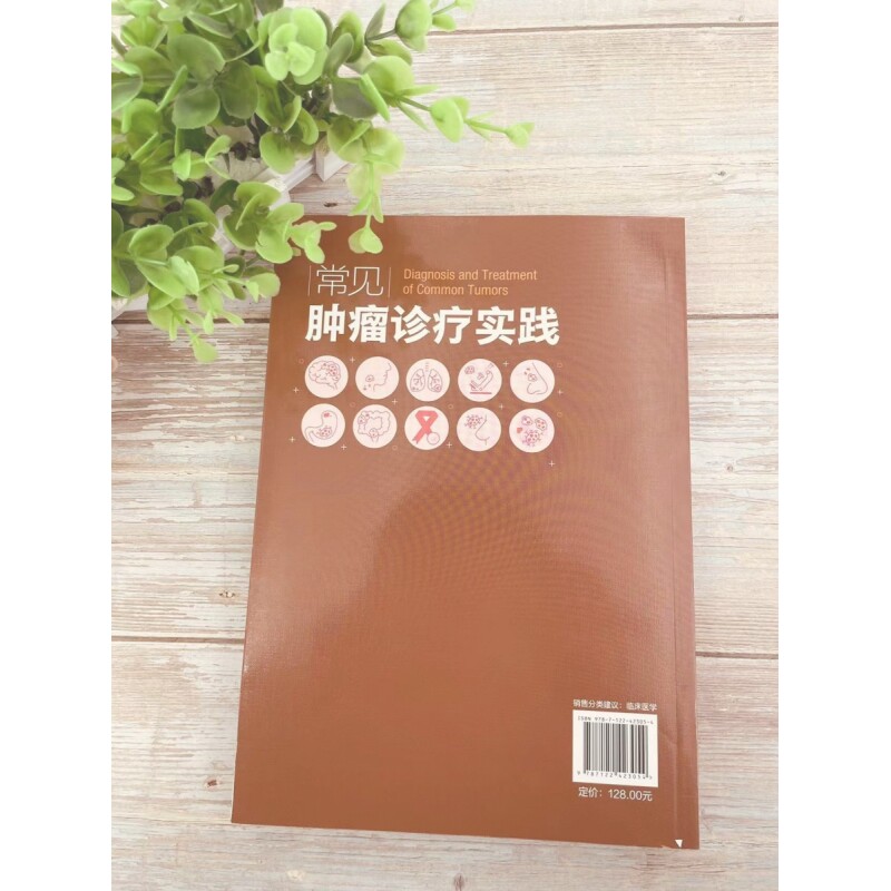 常见肿瘤诊疗实践 癌症诊疗指南 肿瘤科常见病诊断及治疗 新抗肿瘤药 新靶向药物 新化疗方案