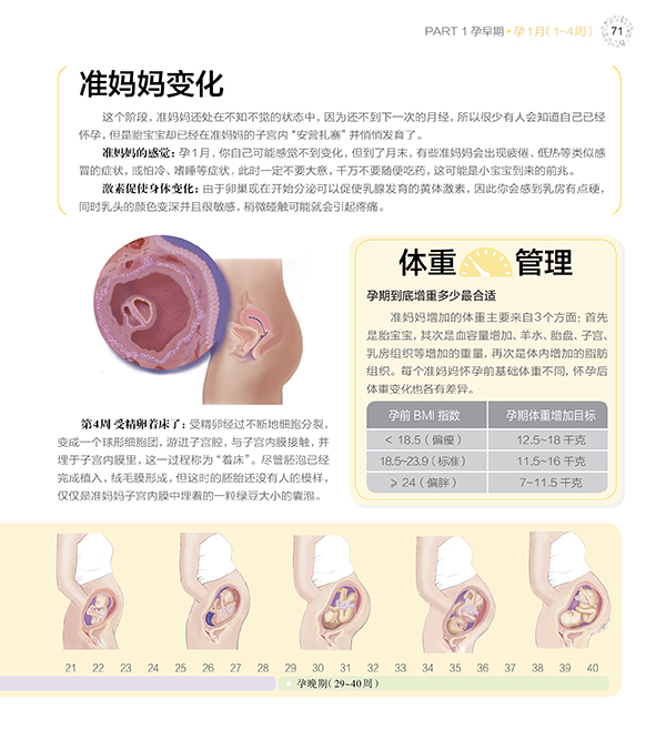 协和专家孕产大百科 孕期书籍大全 怀孕书籍 孕妇书籍大全 怀孕期 备孕书籍 胎教书籍 胎教故事书 瘦孕 孕妇食谱十月怀胎全套知识 - 图1