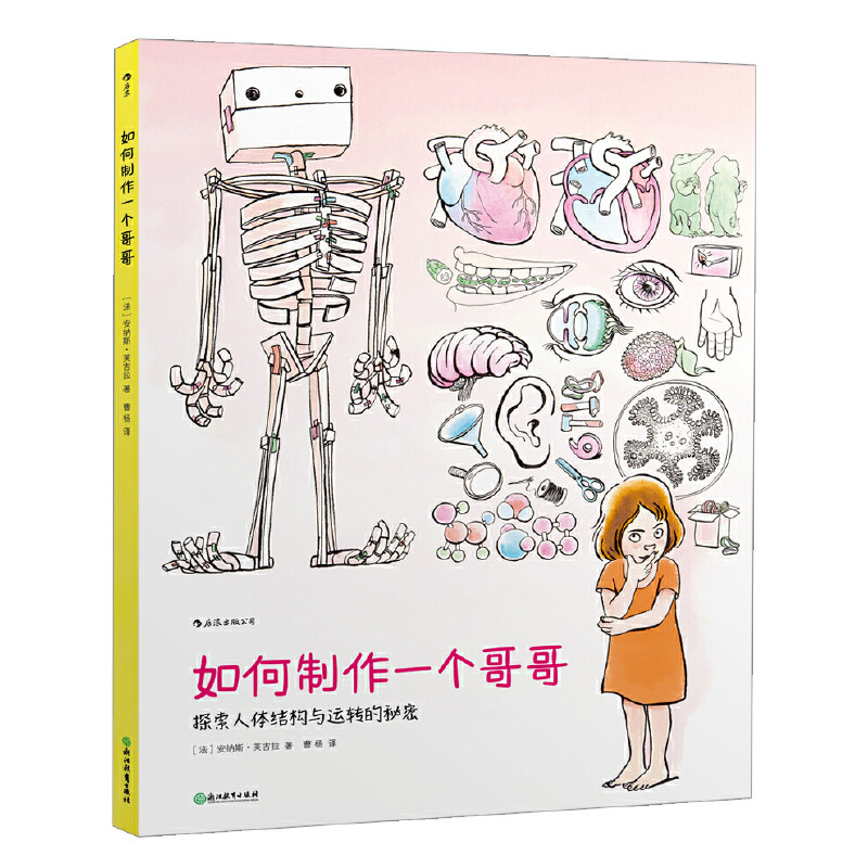 如何制作一个哥哥 人体结构书儿童3-6-8-12岁知识百科书籍 科学益智科普绘本少儿读物人体运转的秘密奥秘我们的身体 后浪正版