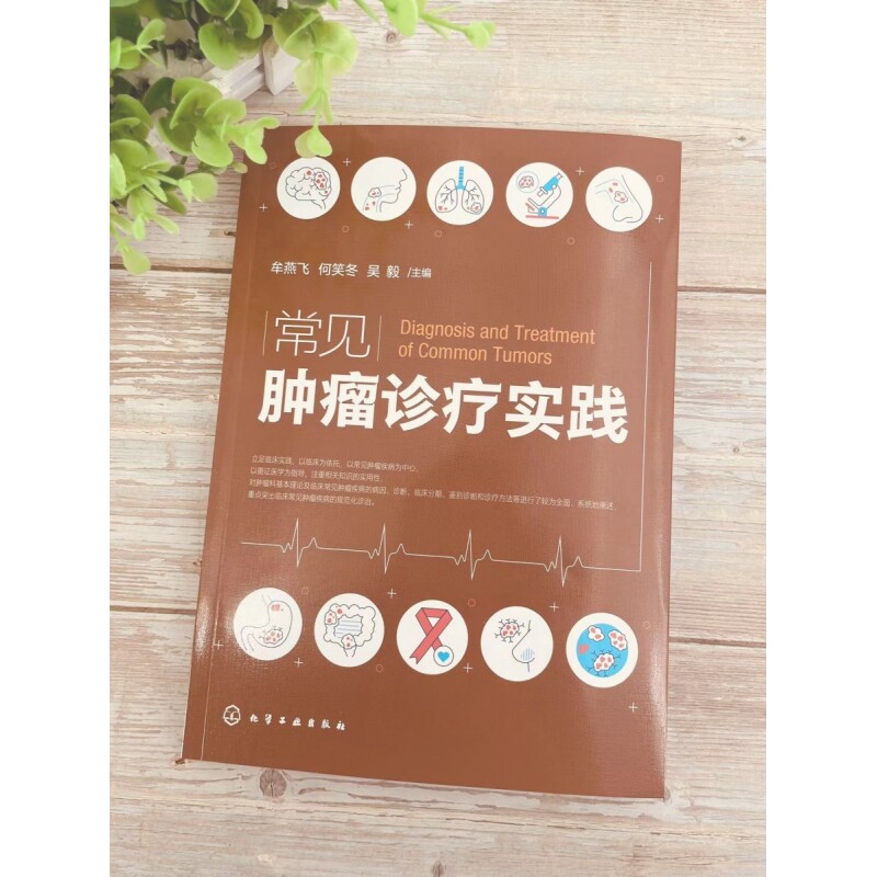 常见肿瘤诊疗实践 癌症诊疗指南 肿瘤科常见病诊断及治疗 新抗肿瘤药 新靶向药物 新化疗方案