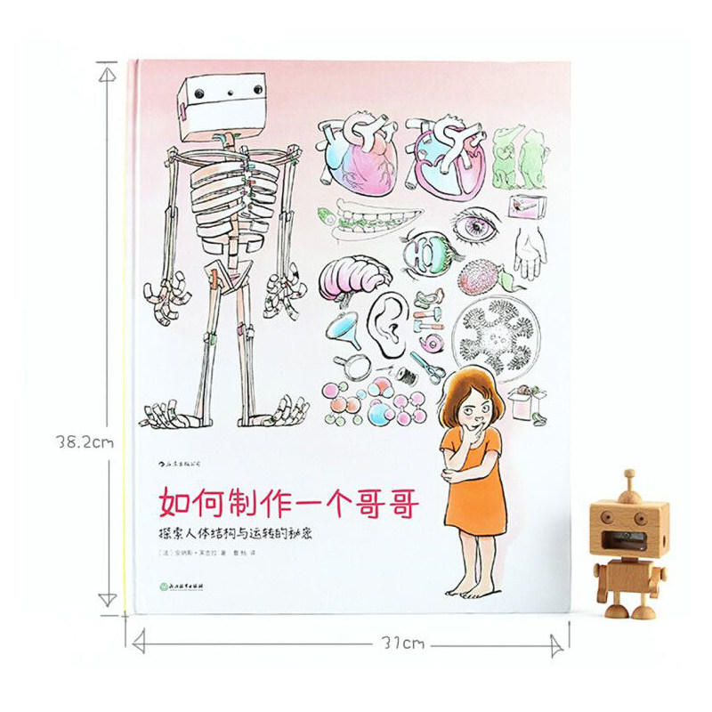 如何制作一个哥哥 人体结构书儿童3-6-8-12岁知识百科书籍 科学益智科普绘本少儿读物人体运转的秘密奥秘我们的身体 后浪正版