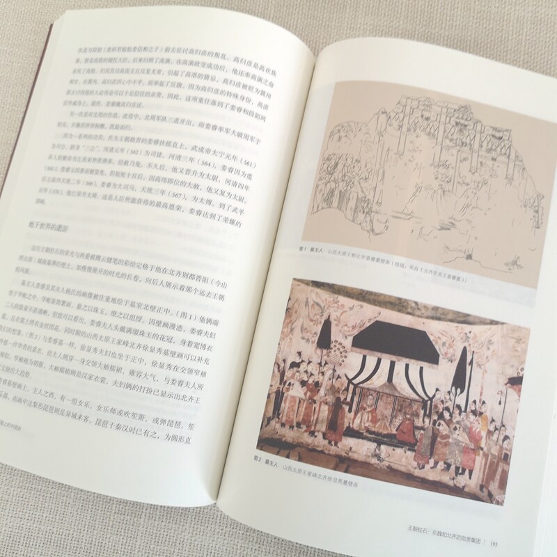 观我生 壁画上的中国史 苗子兮著 探寻壁画背后的隐秘世界 读懂壁画深处的中国历史正版书籍