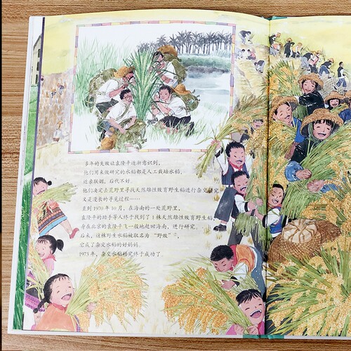 一粒种子改变世界袁隆平的故事杂交水稻之父袁隆平传记精装绘本科学家绘本名人传记儿童故事书一二年级中小学生课外阅读广东讲书人 - 图0