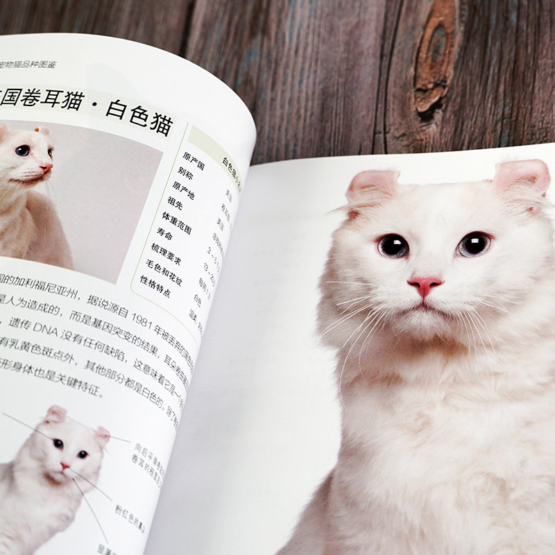 名优宠物猫品种图鉴宠物大本营 140种纯种世界知名猫咪呼之欲出本书是陪伴您的珍藏宠物图鉴 500余幅高清晰彩色照片_虎窝淘