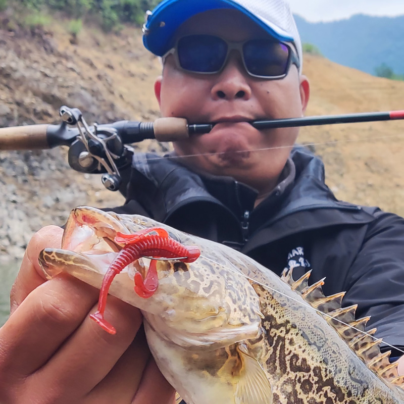 巡鱼宝飞鱼T尾专业黑坑鳜鱼鲈鱼翘嘴软饵路亚饵软虫假饵仿生饵料 - 图1