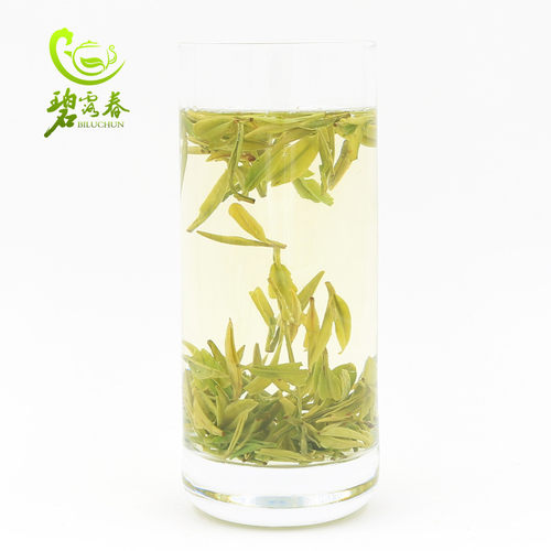 2026绿茶陇南龙井茶叶新茶甘肃文县碧口高山绿茶雨前特级春茶250g - 图0