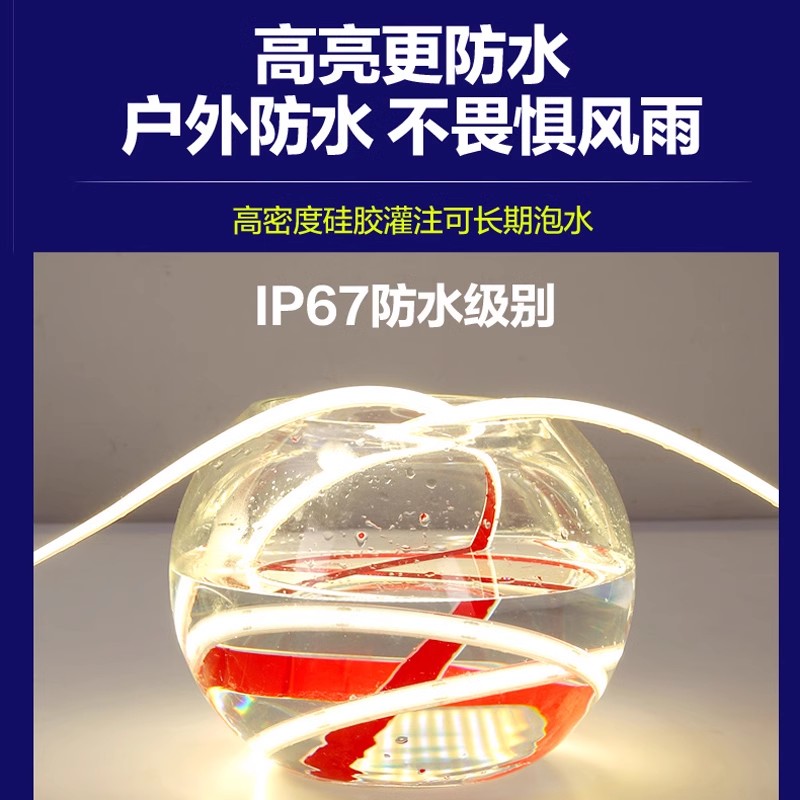 水下COB硅胶灯带24Vled户外防水IP68灌胶无光斑柔性线性灯条泳池 - 图0