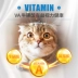 Thức ăn cho mèo Miao Duo Le của Mỹ 1,5kg Nestle dành cho người lớn mèo già làm đẹp ngắn Nestle Purina thành thức ăn cho mèo 3 kg - Cat Staples minino yum 1.5 kg Cat Staples