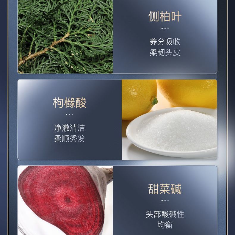 明星推荐bodyaid博滴琴叶生姜防脱洗发水育发薄滴代言博迪旗舰店 - 图1