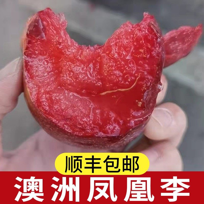 澳洲进口凤凰李3斤装血丝李蜥蜴蛋新鲜红肉红心李子孕妇水果包邮,淘宝优惠券,粉丝福利购,淘宝优惠卷