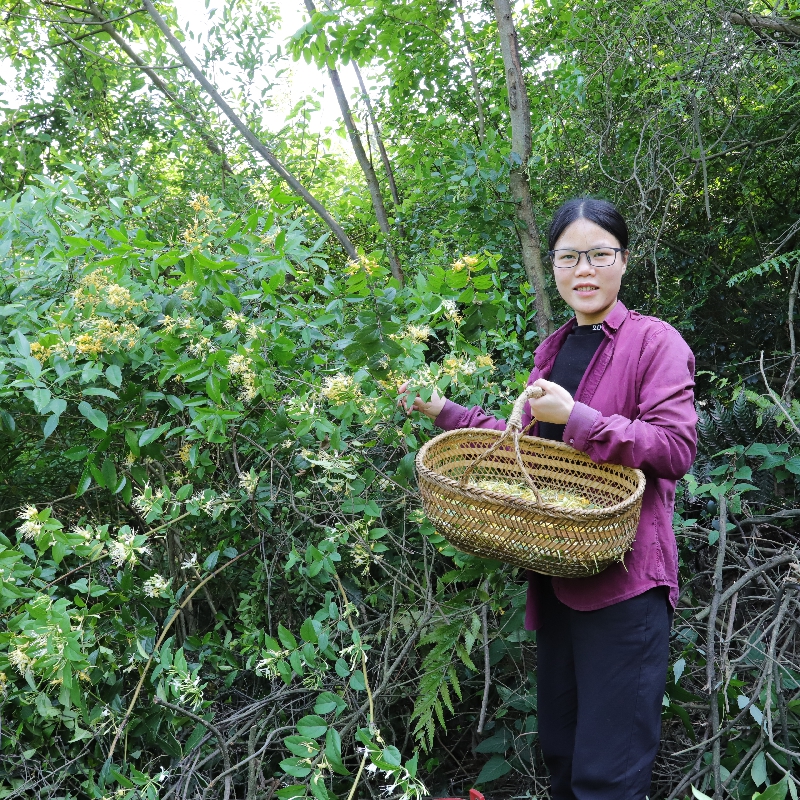 野生金银花200g农家深山自采金银花干货带绒毛金银花茶可宝宝泡澡-图0