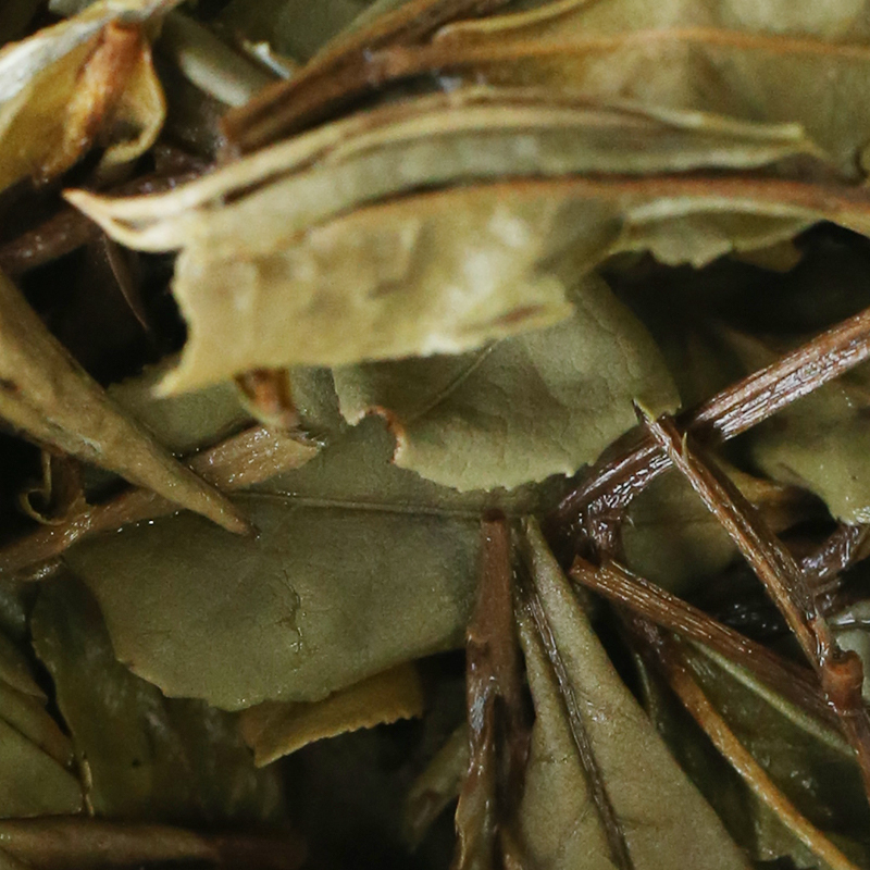 周老师福鼎白茶2014年迷蝶小菜牡丹管阳镇高山茶区花香馥郁 - 图3