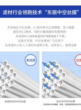 东丽原装台式净水器滤芯