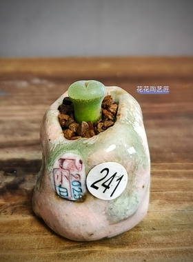 景德镇手工多肉花盆坛子姐手捏孤品拇指盆迷你小花盆异形粗陶陶土
