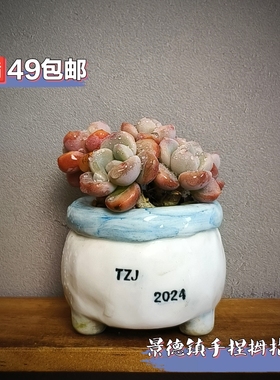 景德镇手工多肉花盆坛子姐手捏拇指盆肉锥生石花花盆迷你小花盆