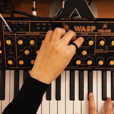 Аналоговый синтезатор 【新浦电声】behringer/百灵达 wasp deluxe 大黄蜂