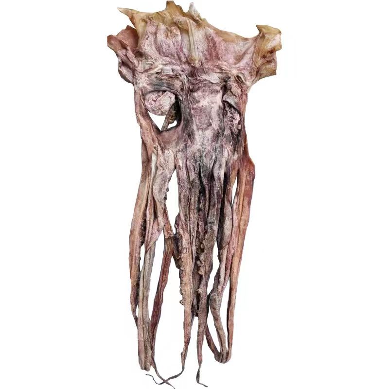 500g wild fresh dried squid head
