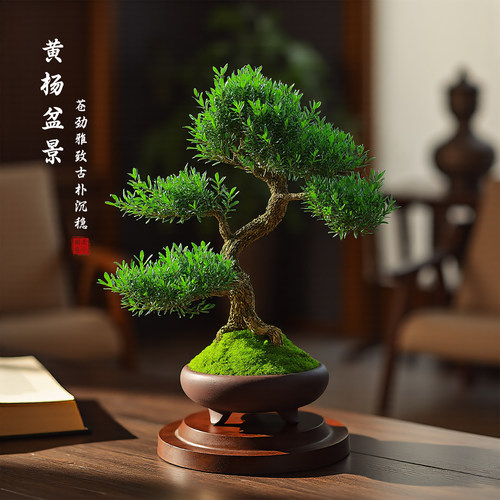 黄杨盆栽老桩造型盆景皱皮小叶植物庭院绿植四季常青禅意茶室盆景 - 图0