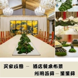 Мотовой ландшафт Моторный ландшафт Танк Бонсай поставил свежие мохи DIY Творческие растения Суд творческих растений