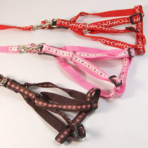 Щенка для щенка