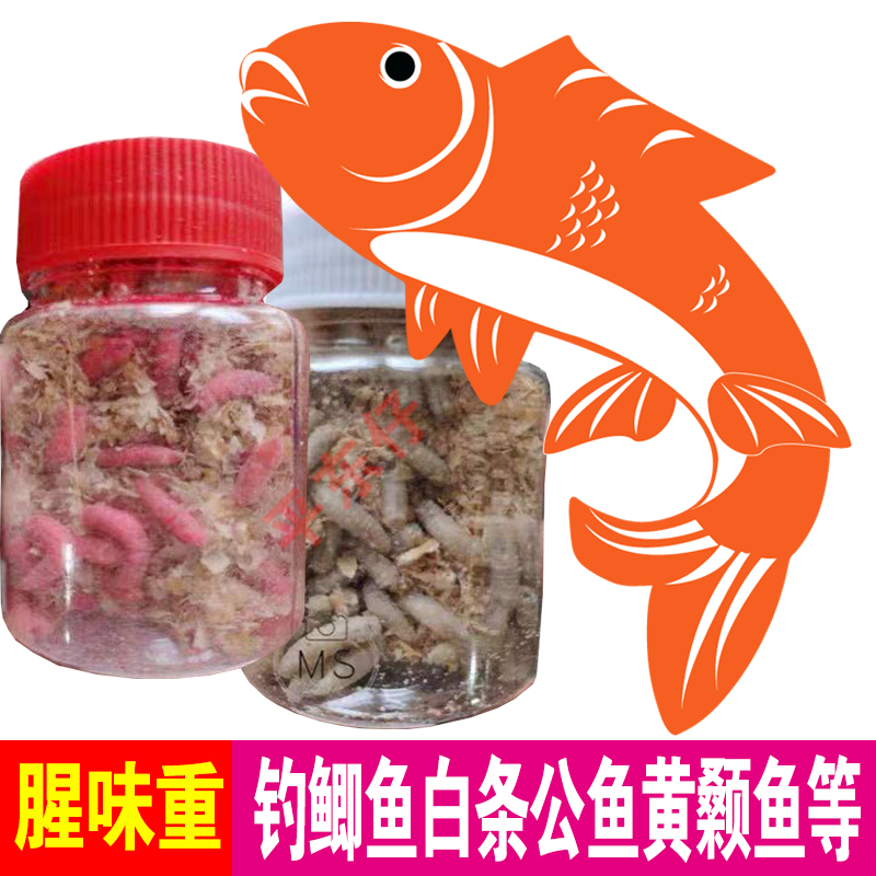 蛆虫活蛆活饵白蛆白虫红蛆面包虫钓鲫鱼溪流江河钓鱼活饵昆虫饵料-图0