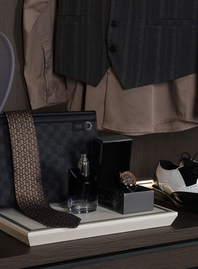 轻奢样板房衣帽间西装皮鞋摆件