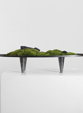 新中式永生苔藓玄关微景观摆件