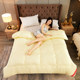 All-season summer 4-pound student dormitory quilt