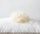 A pair of soybean double five-star neck sleeping pillows