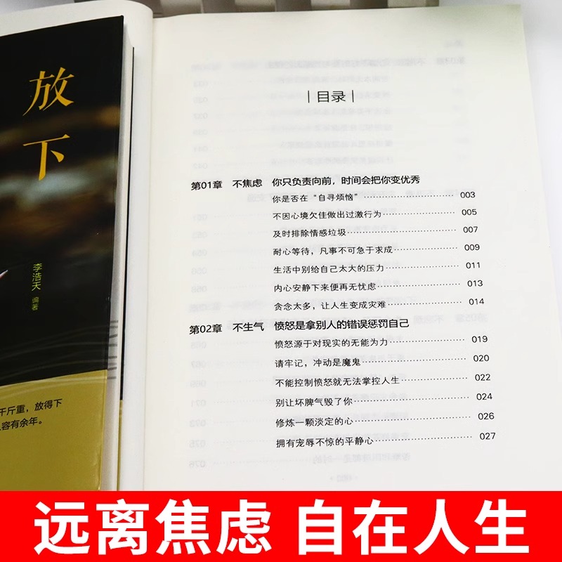 静心书籍放下人生三大学问必读正版人生智慧哲学青春成功励志心灵鸡汤正能量治愈系修心修身养性哲理必看的书畅销书排行榜成人推荐