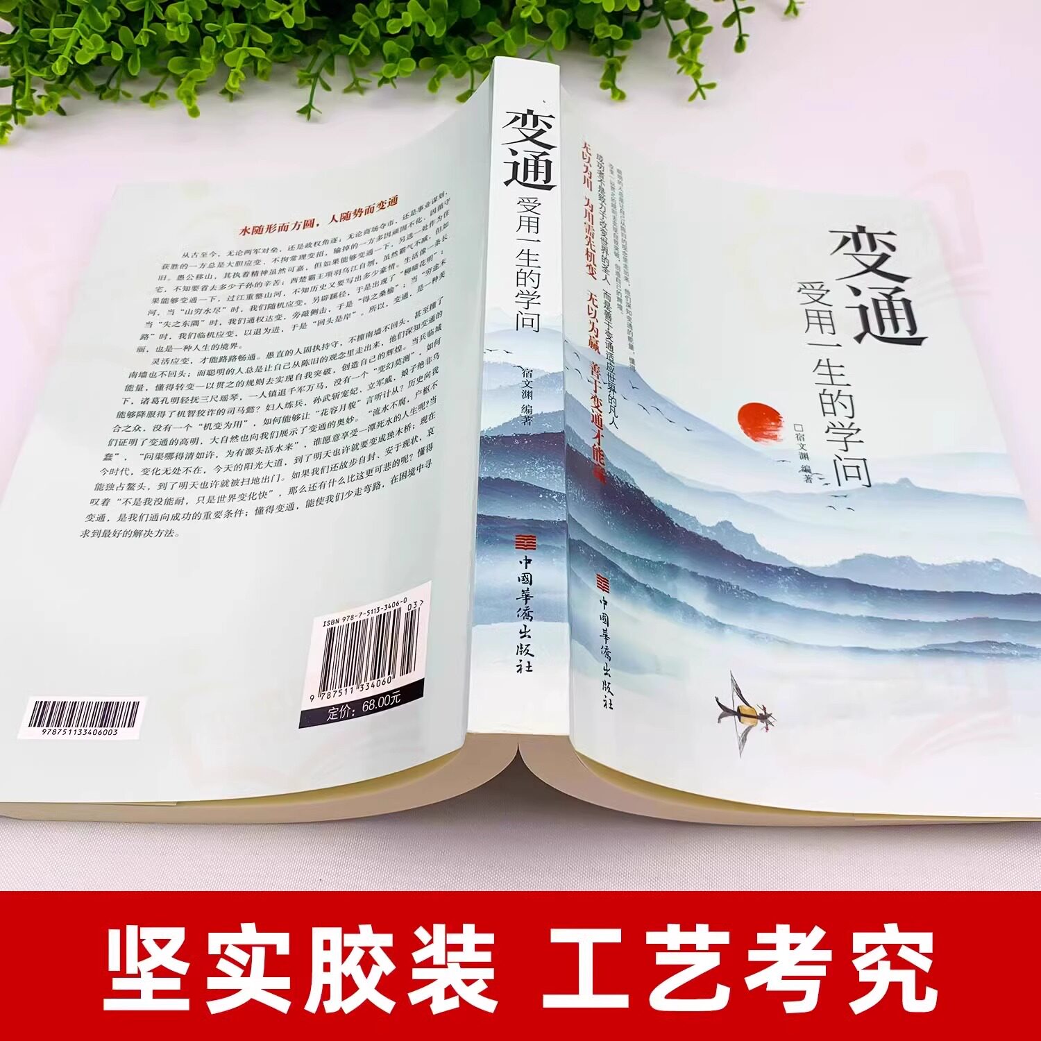 抖音同款】变通受用一生的学问+眼界正版书每天懂一点人情世故高情商哲学善于表达变通人际交往回话技巧为人处世方法沟通口才锻炼
