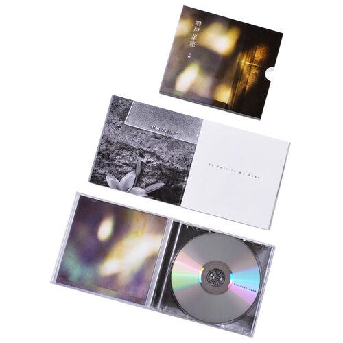 正版 朴树 猎户星座二 平凡之路 清白之年 专辑CD+歌词本 - 图1