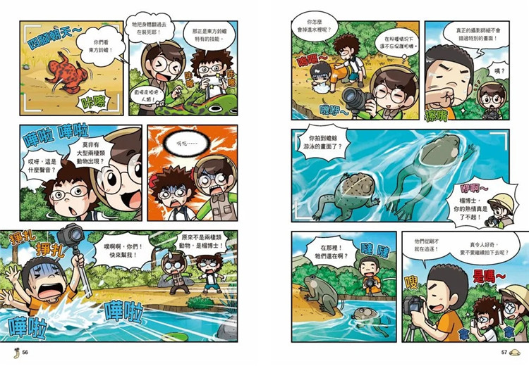 【预售】台版 野外生物观察漫画 虫虫博士2 两栖和环节动物 三采 EggBugs 认识溼地与土壤中的生物学习力启发儿童科普绘本书籍