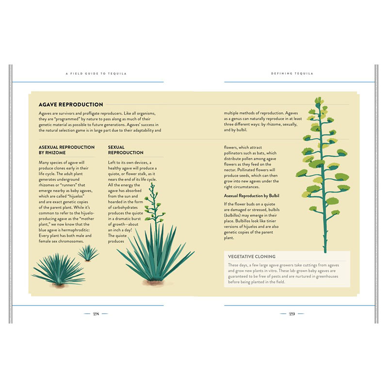 【预售】英文原版A Field Guide to Tequila What It Is, Where It’s From, and How to Taste It龙舌兰酒现场指南书籍-图0