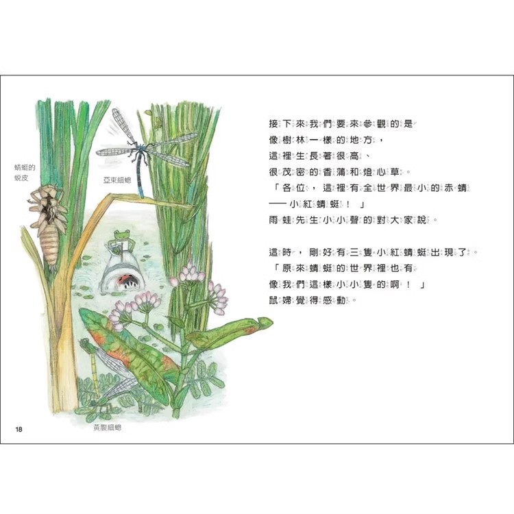 【预售】台版雨蛙生态旅行团池塘发现之旅维京松冈达英自然生态故事绘本儿童书籍-图2