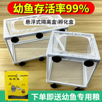Fish tank isolation box Isolation net small fish peacock fish breeding box incubators Fish Fry separation box Water Rovers