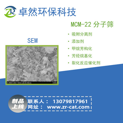 球状mcm22分子筛 mcm-22乙苯烷基化 卓然环保厂家直销 - 图1