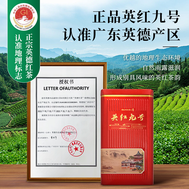 2024年新茶正宗英德红茶英红九号一级浓香型茶叶200g春节年货送礼