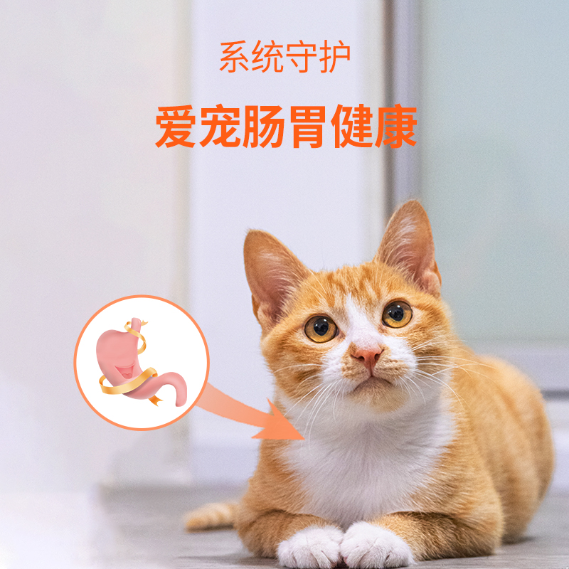 球球肠胃宝狗狗猫咪调理胃肠脾脏缓解腹泻改善软便犬营养咀嚼肉粒 - 图2