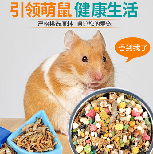 RM哈姆小宠仓鼠粮食海鲜宠物熊仔主粮饲料用品海鲜鱼虾干蛋白454g - 图0